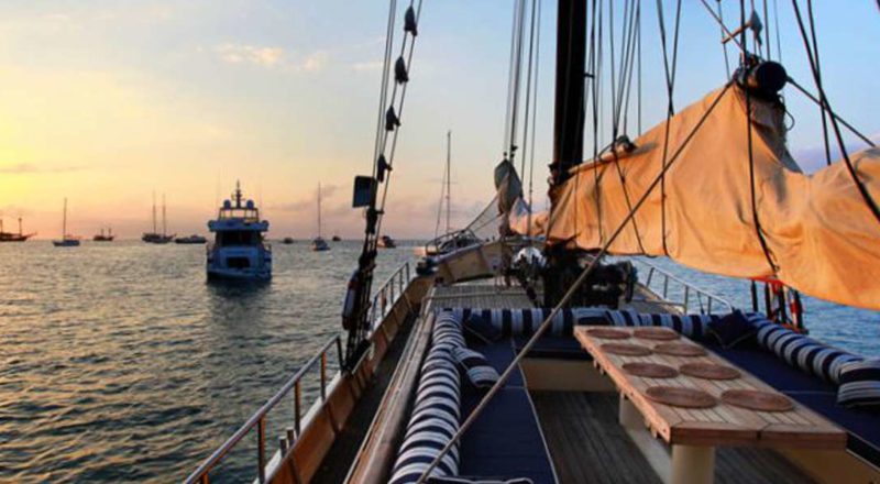 Adelaar Cruises